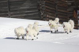 Kandersteg 2013